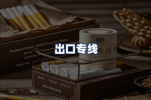 出口专线